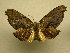  ( - 10-CRBS-678)  @14 [ ] No Rights Reserved (2010) Unspecified Research Collection of J. B. Sullivan