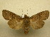  ( - 10-CRBS-718)  @14 [ ] No Rights Reserved (2010) Unspecified Research Collection of J. B. Sullivan