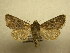  ( - 10-CRBS-732)  @13 [ ] No Rights Reserved (2010) Unspecified Research Collection of J. B. Sullivan