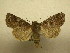  ( - 10-CRBS-733)  @13 [ ] No Rights Reserved (2010) Unspecified Research Collection of J. B. Sullivan