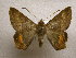  ( - 10-CRBS-743)  @13 [ ] No Rights Reserved (2010) Unspecified Research Collection of J. B. Sullivan