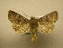  ( - 10-CRBS-747)  @13 [ ] No Rights Reserved (2010) Unspecified Research Collection of J. B. Sullivan