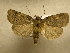 ( - 10-CRBS-753)  @14 [ ] No Rights Reserved (2010) Unspecified Research Collection of J. B. Sullivan