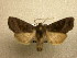  ( - 10-CRBS-761)  @12 [ ] No Rights Reserved (2010) Unspecified Research Collection of J. B. Sullivan