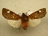  ( - 10-CRBS-781)  @12 [ ] No Rights Reserved (2010) Unspecified Research Collection of J. B. Sullivan