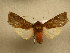  ( - 10-CRBS-784)  @12 [ ] No Rights Reserved (2010) Unspecified Research Collection of J. B. Sullivan
