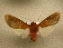  ( - 10-CRBS-785)  @12 [ ] No Rights Reserved (2010) Unspecified Research Collection of J. B. Sullivan
