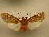  ( - 10-CRBS-786)  @12 [ ] No Rights Reserved (2010) Unspecified Research Collection of J. B. Sullivan