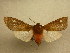  ( - 10-CRBS-787)  @12 [ ] No Rights Reserved (2010) Unspecified Research Collection of J. B. Sullivan