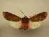  ( - 10-CRBS-790)  @13 [ ] No Rights Reserved (2010) Unspecified Research Collection of J. B. Sullivan