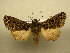  ( - 10-CRBS-793)  @13 [ ] No Rights Reserved (2010) Unspecified Research Collection of J. B. Sullivan