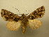  ( - 10-CRBS-794)  @13 [ ] No Rights Reserved (2010) Unspecified Research Collection of J. B. Sullivan