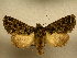  ( - 10-CRBS-797)  @13 [ ] No Rights Reserved (2010) Unspecified Research Collection of J. B. Sullivan