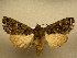  ( - 10-CRBS-798)  @13 [ ] No Rights Reserved (2010) Unspecified Research Collection of J. B. Sullivan