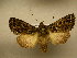  ( - 10-CRBS-800)  @14 [ ] No Rights Reserved (2010) Unspecified Research Collection of J. B. Sullivan