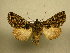  ( - 10-CRBS-802)  @13 [ ] No Rights Reserved (2010) Unspecified Research Collection of J. B. Sullivan