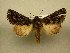  ( - 10-CRBS-804)  @13 [ ] No Rights Reserved (2010) Unspecified Research Collection of J. B. Sullivan