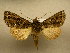  ( - 10-CRBS-808)  @13 [ ] No Rights Reserved (2010) Unspecified Research Collection of J. B. Sullivan