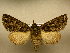  ( - 10-CRBS-809)  @13 [ ] No Rights Reserved (2010) Unspecified Research Collection of J. B. Sullivan