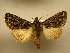  ( - 10-CRBS-810)  @14 [ ] No Rights Reserved (2010) Unspecified Research Collection of J. B. Sullivan