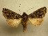  ( - 10-CRBS-811)  @13 [ ] No Rights Reserved (2010) Unspecified Research Collection of J. B. Sullivan