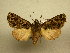  ( - 10-CRBS-812)  @13 [ ] No Rights Reserved (2010) Unspecified Research Collection of J. B. Sullivan