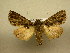 ( - 10-CRBS-813)  @14 [ ] No Rights Reserved (2010) Unspecified Research Collection of J. B. Sullivan