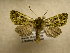  ( - 10-CRBS-816)  @14 [ ] No Rights Reserved (2010) Unspecified Research Collection of J. B. Sullivan