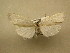  ( - 10-CRBS-826)  @14 [ ] No Rights Reserved (2010) Unspecified Research Collection of J. B. Sullivan