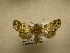  ( - 10-CRBS-838)  @12 [ ] No Rights Reserved (2010) Unspecified Research Collection of J. B. Sullivan