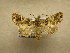  ( - 10-CRBS-839)  @13 [ ] No Rights Reserved (2010) Unspecified Research Collection of J. B. Sullivan