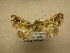  (Pastona Sullivan2904 - 10-CRBS-840)  @13 [ ] No Rights Reserved (2010) Unspecified Research Collection of J. B. Sullivan