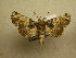  ( - 10-CRBS-842)  @14 [ ] No Rights Reserved (2010) Unspecified Research Collection of J. B. Sullivan