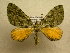  ( - 10-CRBS-852)  @14 [ ] No Rights Reserved (2010) Unspecified Research Collection of J. B. Sullivan