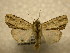  ( - 10-CRBS-858)  @14 [ ] No Rights Reserved (2010) James Sullivan Research Collection of J. B. Sullivan