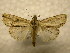 ( - 10-CRBS-860)  @14 [ ] No Rights Reserved (2010) James Sullivan Research Collection of J. B. Sullivan