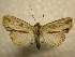  ( - 10-CRBS-861)  @14 [ ] No Rights Reserved (2010) James Sullivan Research Collection of J. B. Sullivan