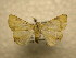  ( - 10-CRBS-883)  @13 [ ] No Rights Reserved (2010) James Sullivan Research Collection of J. B. Sullivan
