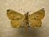  ( - 10-CRBS-885)  @13 [ ] No Rights Reserved (2010) James Sullivan Research Collection of J. B. Sullivan