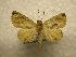 ( - 10-CRBS-887)  @13 [ ] No Rights Reserved (2010) James Sullivan Research Collection of J. B. Sullivan