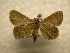 ( - 10-CRBS-898)  @13 [ ] No Rights Reserved (2010) James Sullivan Research Collection of J. B. Sullivan