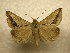  ( - 10-CRBS-937)  @14 [ ] No Rights Reserved (2010) James Sullivan Research Collection of J. B. Sullivan