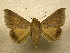 ( - 10-CRBS-939)  @13 [ ] No Rights Reserved (2010) James Sullivan Research Collection of J. B. Sullivan