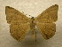  ( - 10-CRBS-943)  @13 [ ] No Rights Reserved (2010) James Sullivan Research Collection of J. B. Sullivan