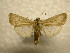  ( - 10-CRBS-976)  @14 [ ] No Rights Reserved (2010) James Sullivan Research Collection of J. B. Sullivan