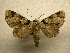  ( - 10-CRBS-981)  @13 [ ] No Rights Reserved (2010) James Sullivan Research Collection of J. B. Sullivan