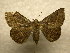  ( - 10-CRBS-982)  @14 [ ] No Rights Reserved (2010) James Sullivan Research Collection of J. B. Sullivan