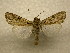  ( - 10-CRBS-984)  @13 [ ] No Rights Reserved (2010) James Sullivan Research Collection of J. B. Sullivan