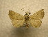  ( - 10-CRBS-991)  @12 [ ] No Rights Reserved (2010) James Sullivan Research Collection of J. B. Sullivan
