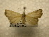  ( - 10-CRBS-994)  @12 [ ] No Rights Reserved (2010) James Sullivan Research Collection of J. B. Sullivan